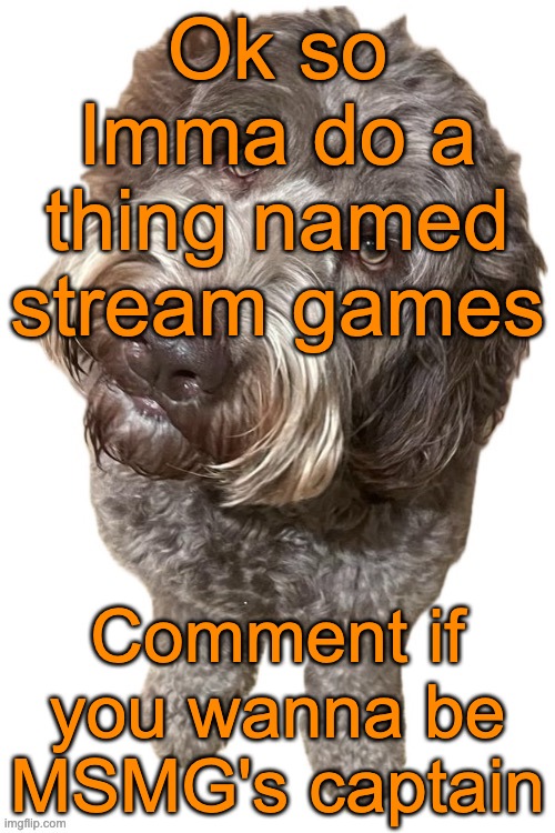 Norther's dog | Ok so Imma do a thing named stream games; Comment if you wanna be MSMG's captain | image tagged in norther's dog | made w/ Imgflip meme maker