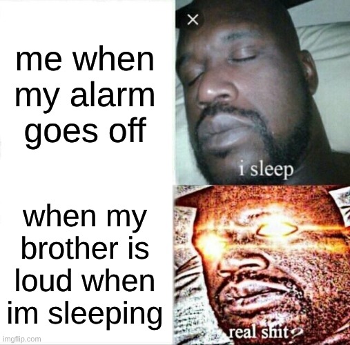 trust | me when my alarm goes off; when my brother is loud when im sleeping | image tagged in memes,sleeping shaq | made w/ Imgflip meme maker