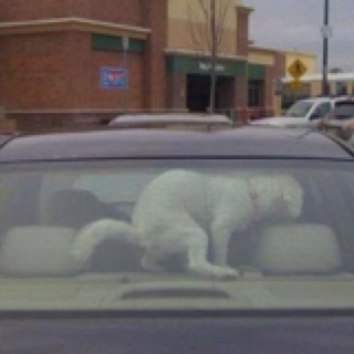 Chrisjoines1 Blank Meme Template