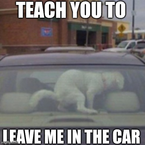Teach You To Leave Me In The Car | TEACH YOU TO; LEAVE ME IN THE CAR | image tagged in chrisjoines1 | made w/ Imgflip meme maker