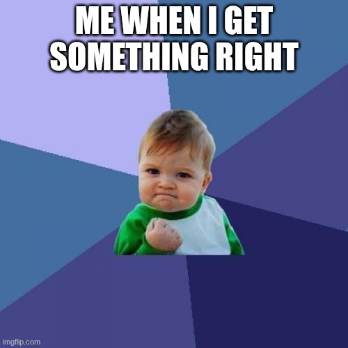 Success Kid Meme | ME WHEN I GET SOMETHING RIGHT | image tagged in memes,success kid | made w/ Imgflip meme maker