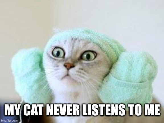 Cat With Ear Muffs. | MY CAT NEVER LISTENS TO ME | image tagged in cat with ear muffs | made w/ Imgflip meme maker