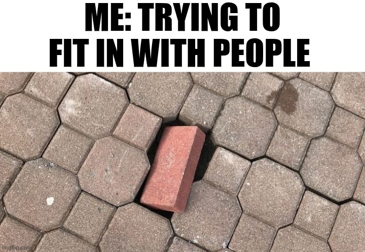 Me: Trying To Fit In With People | ME: TRYING TO FIT IN WITH PEOPLE | image tagged in chrisjoines1 | made w/ Imgflip meme maker