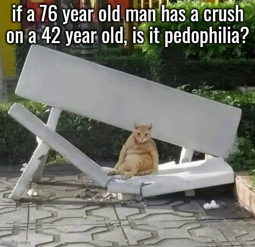 that's a big ahh difference to me | if a 76 year old man has a crush on a 42 year old, is it pedophilia? | image tagged in cat on broken bench | made w/ Imgflip meme maker