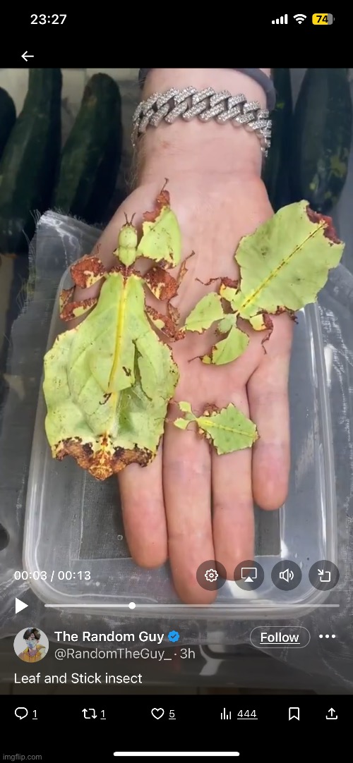 Imagine tryna touch sum leaves on a tree then THESE motherfuckers crawl outta nowhere and jump at you | made w/ Imgflip meme maker