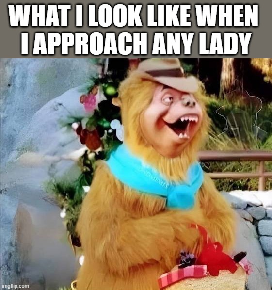 WHAT I LOOK LIKE WHEN 
I APPROACH ANY LADY | image tagged in looking | made w/ Imgflip meme maker