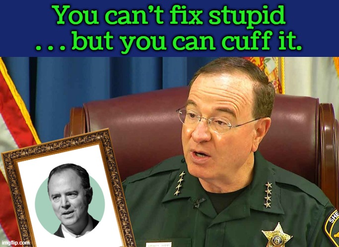 When the Schiff hits the Fan | You can't fix stupid . . . but you can cuff it. | image tagged in sheriff grady judd | made w/ Imgflip meme maker