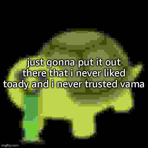 sometimes you just know | just gonna put it out there that i never liked toady and i never trusted vama | image tagged in low quality barfing turtle | made w/ Imgflip meme maker