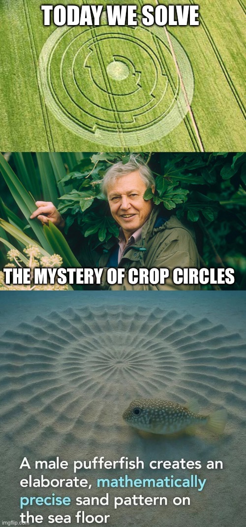 There’s probably a perfectly natural explanation. | TODAY WE SOLVE; THE MYSTERY OF CROP CIRCLES | image tagged in crop circle truth,david attenborough a life on earth,puffer fish | made w/ Imgflip meme maker