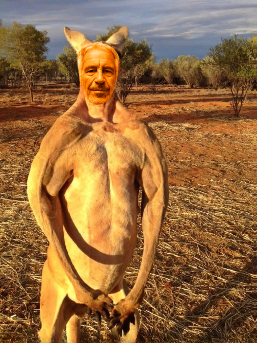 Kangaroo Jeff Blank Meme Template