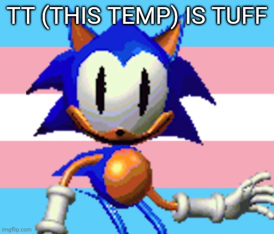 transwrite | TT (THIS TEMP) IS TUFF | image tagged in transwrite | made w/ Imgflip meme maker