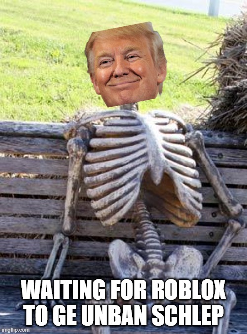 Waiting Skeleton Meme | WAITING FOR ROBLOX TO GE UNBAN SCHLEP | image tagged in memes,waiting skeleton | made w/ Imgflip meme maker
