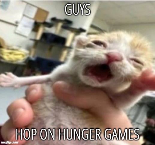 25 spots left | GUYS; HOP ON HUNGER GAMES | made w/ Imgflip meme maker