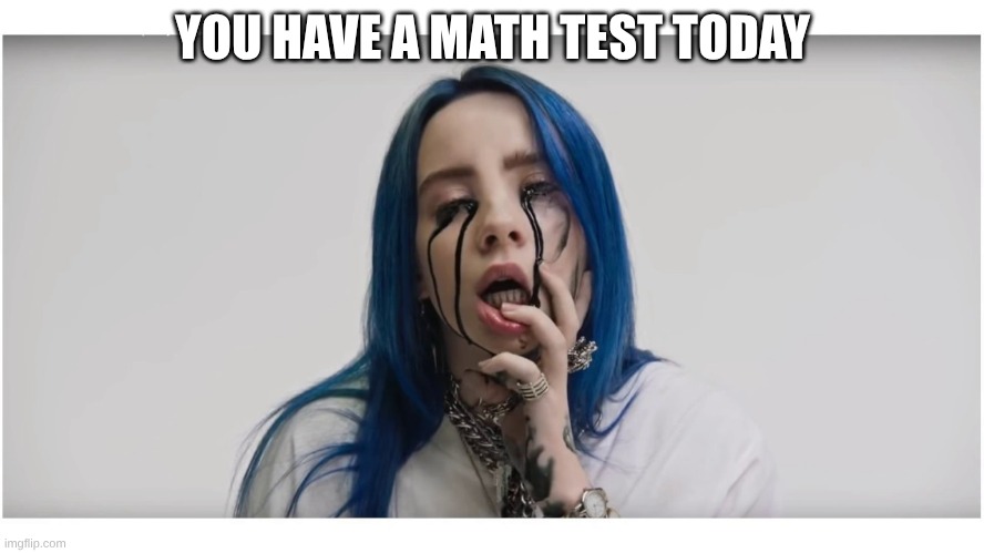Billie Eilish crying | YOU HAVE A MATH TEST TODAY | image tagged in billie eilish crying | made w/ Imgflip meme maker