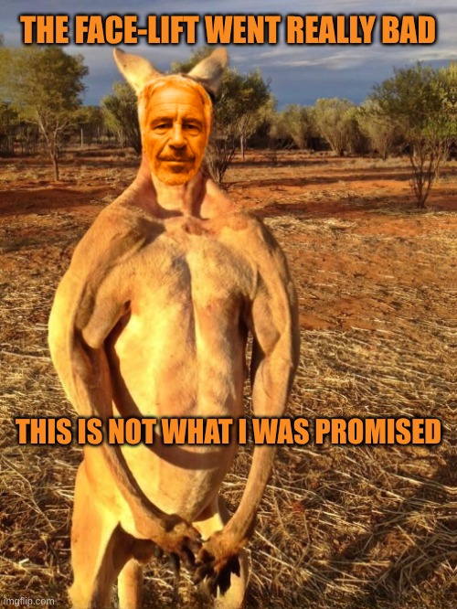 No Filter | THE FACE-LIFT WENT REALLY BAD; THIS IS NOT WHAT I WAS PROMISED | image tagged in kangaroo jeff,jeffrey epstein,kangaroo,that face you make,hippity hoppity blank,funny face | made w/ Imgflip meme maker