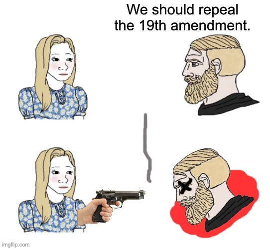 Use your 2nd to protect your 19th. | image tagged in voting rights,misogyny,christian nationalism,republicans,conservatives,19th amendment | made w/ Imgflip meme maker