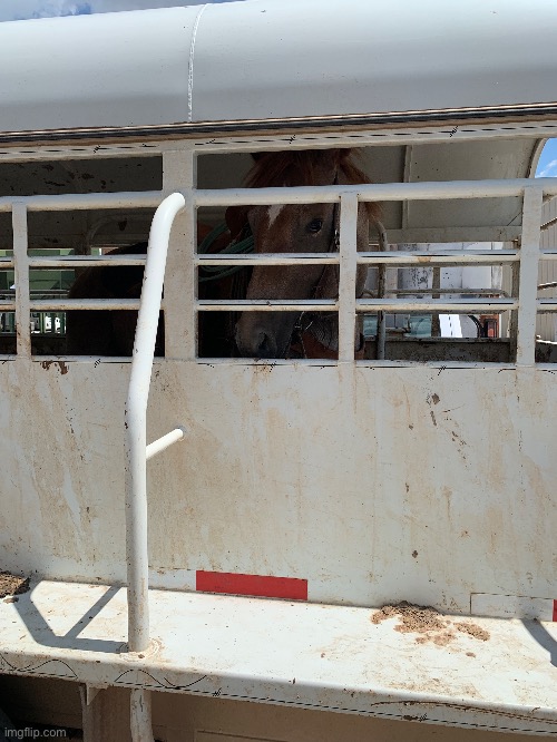 Pose for the camera | made w/ Imgflip meme maker