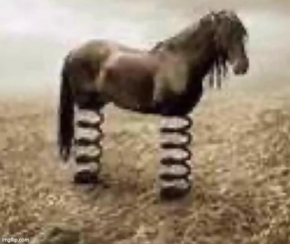 Honse | image tagged in honse | made w/ Imgflip meme maker