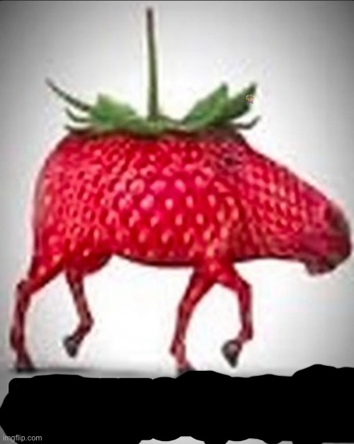 Travis Scott | image tagged in travis scott | made w/ Imgflip meme maker