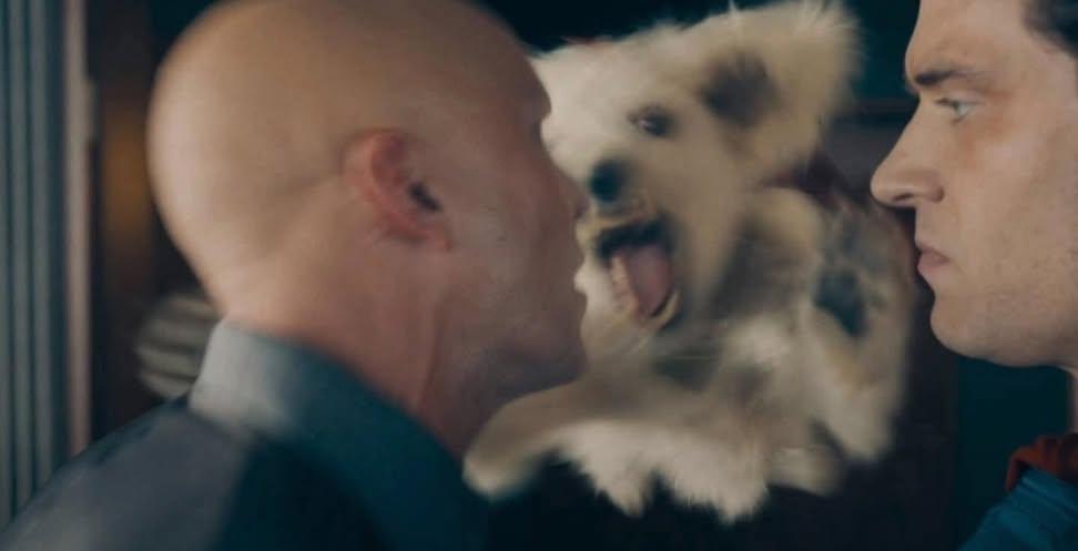 krypto attacking lex Blank Meme Template