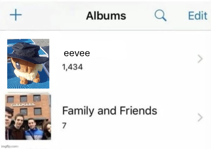 one of the best pokemon | eevee | image tagged in family and friends | made w/ Imgflip meme maker