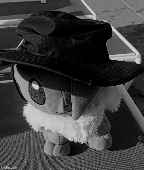 Eevee with hat | image tagged in eevee with hat | made w/ Imgflip meme maker