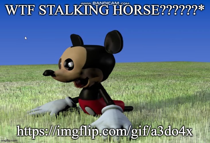Damn is XDDDD | WTF STALKING HORSE??????*; https://imgflip.com/gif/a3do4x | image tagged in damn is xdddd | made w/ Imgflip meme maker