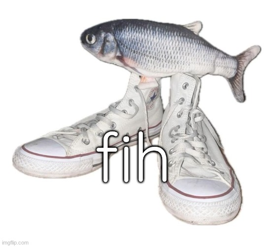fihs | fih | image tagged in fihs | made w/ Imgflip meme maker