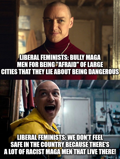 Toxic leftist women on TikTok claim they should bully MAGA men for being "afraid" of large dangerous cities they claim aren't. | LIBERAL FEMINISTS: BULLY MAGA MEN FOR BEING "AFRAID" OF LARGE CITIES THAT THEY LIE ABOUT BEING DANGEROUS; LIBERAL FEMINISTS: WE DON'T FEEL SAFE IN THE COUNTRY BECAUSE THERE'S A LOT OF RACIST MAGA MEN THAT LIVE THERE! | image tagged in me also me,leftists,angry feminist,toxic,maga | made w/ Imgflip meme maker