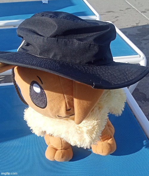 Eevee with hat | image tagged in eevee with hat | made w/ Imgflip meme maker