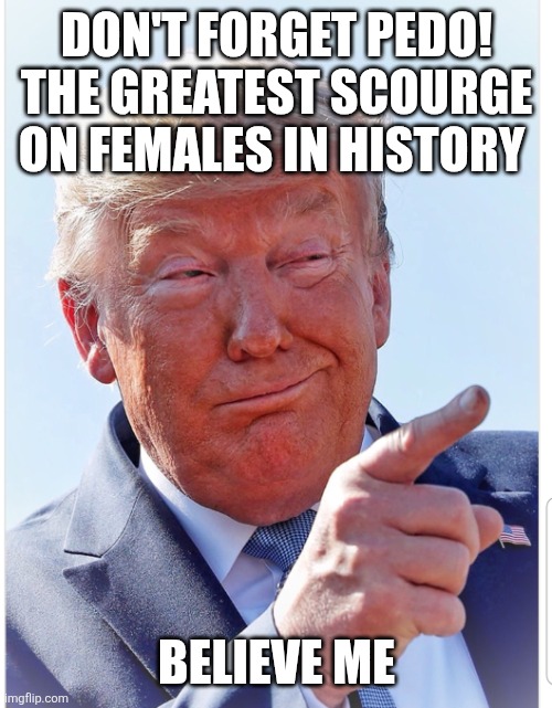 Trump pointing | DON'T FORGET PEDO!
THE GREATEST SCOURGE ON FEMALES IN HISTORY BELIEVE ME | image tagged in trump pointing | made w/ Imgflip meme maker