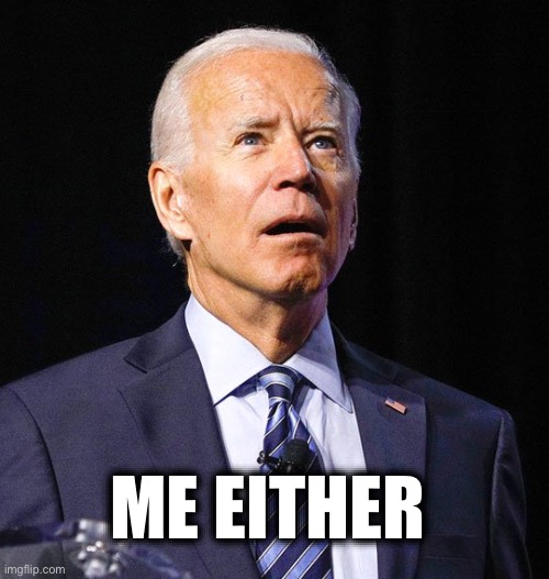 ME EITHER | image tagged in joe biden | made w/ Imgflip meme maker