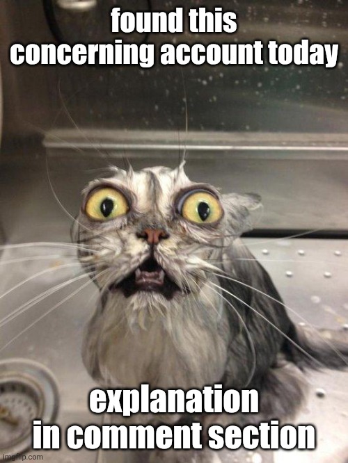 the cat's reaction says everything. (Tako note: what the actual fuck) | found this concerning account today; explanation in comment section | image tagged in traumatized wet cat | made w/ Imgflip meme maker