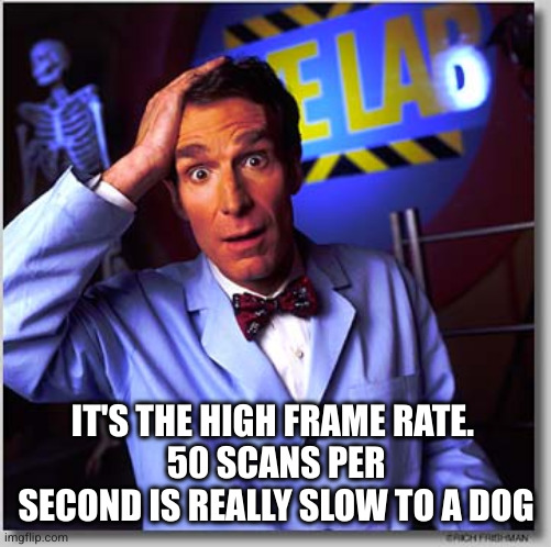 Bill Nye The Science Guy Meme | IT'S THE HIGH FRAME RATE. 
50 SCANS PER SECOND IS REALLY SLOW TO A DOG | image tagged in memes,bill nye the science guy | made w/ Imgflip meme maker
