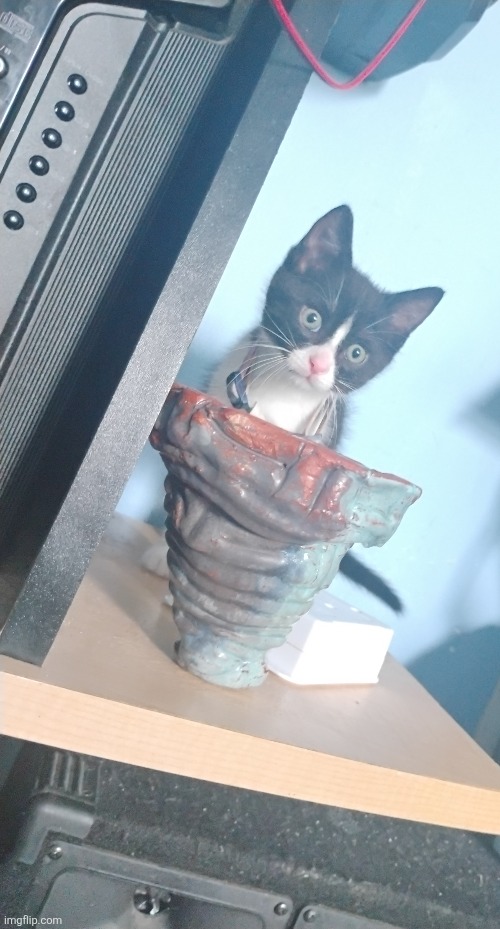 Cat jumpscare 3 | made w/ Imgflip meme maker