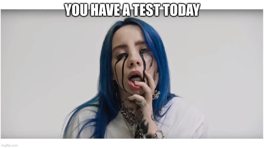 Billie Eilish crying | YOU HAVE A TEST TODAY | image tagged in billie eilish crying | made w/ Imgflip meme maker