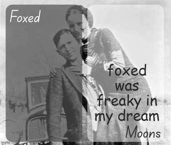 Foxed n Moons - Bonnie and Clyde temp | foxed was freaky in my dream | image tagged in foxed n moons - bonnie and clyde temp | made w/ Imgflip meme maker