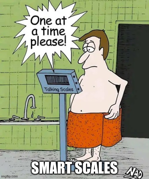 SMART SCALES | image tagged in yes | made w/ Imgflip meme maker