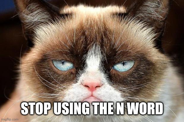 No using N words | STOP USING THE N WORD | image tagged in memes,grumpy cat not amused,grumpy cat | made w/ Imgflip meme maker