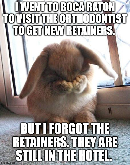 embarrassed bunny | I WENT TO BOCA RATON TO VISIT THE ORTHODONTIST TO GET NEW RETAINERS. BUT I FORGOT THE RETAINERS. THEY ARE STILL IN THE HOTEL. | image tagged in embarrassed bunny | made w/ Imgflip meme maker