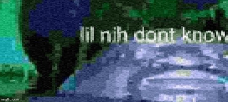 lil nih don't know | image tagged in lil nih don't know | made w/ Imgflip meme maker