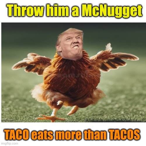 Blank Transparent Square Meme | Throw him a McNugget TACO eats more than TACOS | image tagged in memes,blank transparent square | made w/ Imgflip meme maker