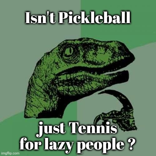 You think so too | Isn't Pickleball; just Tennis for lazy people ? | image tagged in memes,philosoraptor,tennis,well yes but actually no,lazytown,no running | made w/ Imgflip meme maker