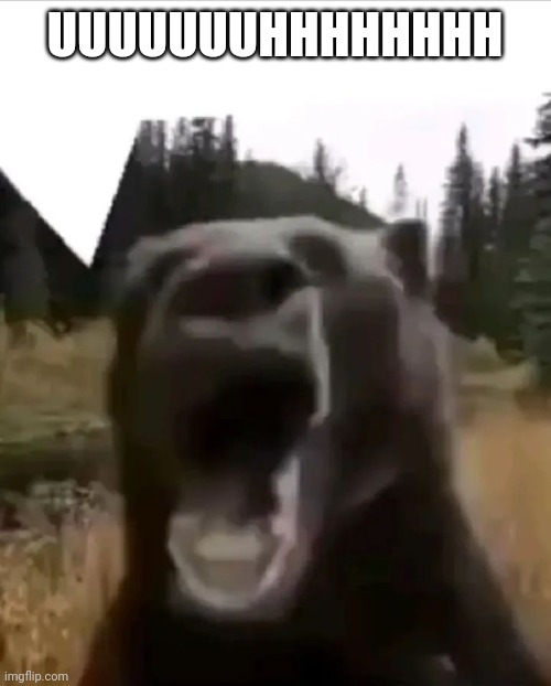 UUUUUUUHHHHHHHH | made w/ Imgflip meme maker