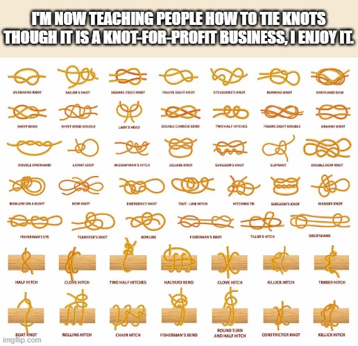 I'm teaching people how to tie knots. It's a not for profit business.  - humor - | I'M NOW TEACHING PEOPLE HOW TO TIE KNOTS THOUGH IT IS A KNOT-FOR-PROFIT BUSINESS, I ENJOY IT. | image tagged in funny,business,rope,play on words,humor | made w/ Imgflip meme maker