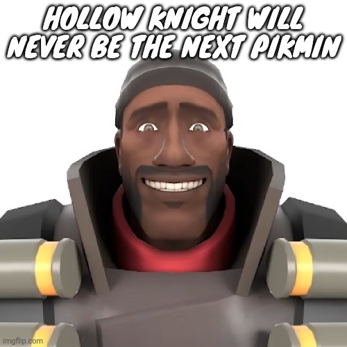 Cursed demoman | HOLLOW KNIGHT WILL NEVER BE THE NEXT PIKMIN | image tagged in cursed demoman | made w/ Imgflip meme maker