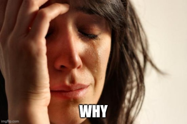 First World Problems | WHY | image tagged in memes,first world problems | made w/ Imgflip meme maker