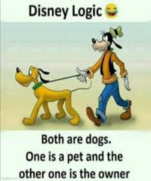 Dog walking a dog? | image tagged in dogs | made w/ Imgflip meme maker