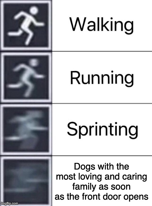 Walking, Running, Sprinting | Dogs with the most loving and caring family as soon as the front door opens | image tagged in walking running sprinting,memes,funny,relatable,dog,lol so funny | made w/ Imgflip meme maker