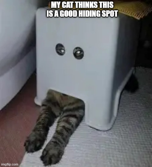 My cat thinks this is a good hiding spot.   - funny - | MY CAT THINKS THIS IS A GOOD HIDING SPOT | image tagged in cats,funny,kittens,humor,hide and seek | made w/ Imgflip meme maker